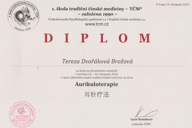 16. Diplom Aurikuloterapie